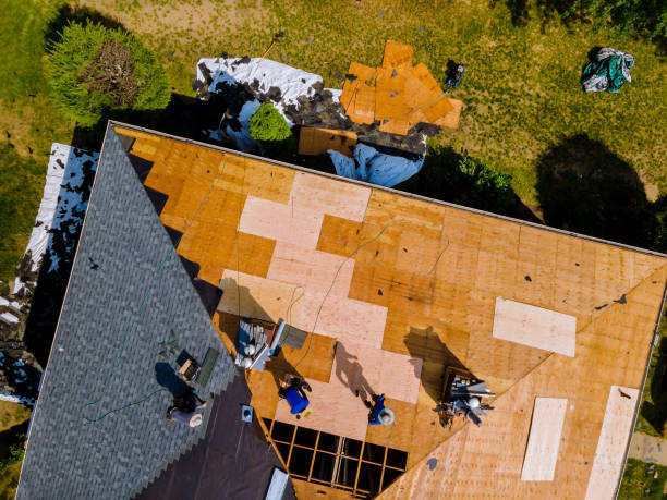 Gutter Installation and Roofing in Slocom, AL