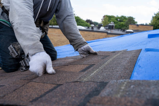 Professional Roofing Contractor in Slocom, AL