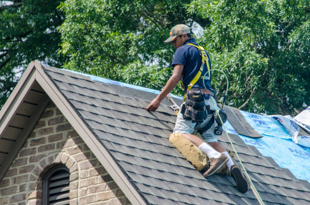 Best Roof Gutter Cleaning  in Slocom, AL