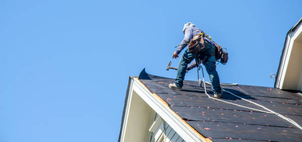 Best Storm Damage Roof Repair  in Slocom, AL